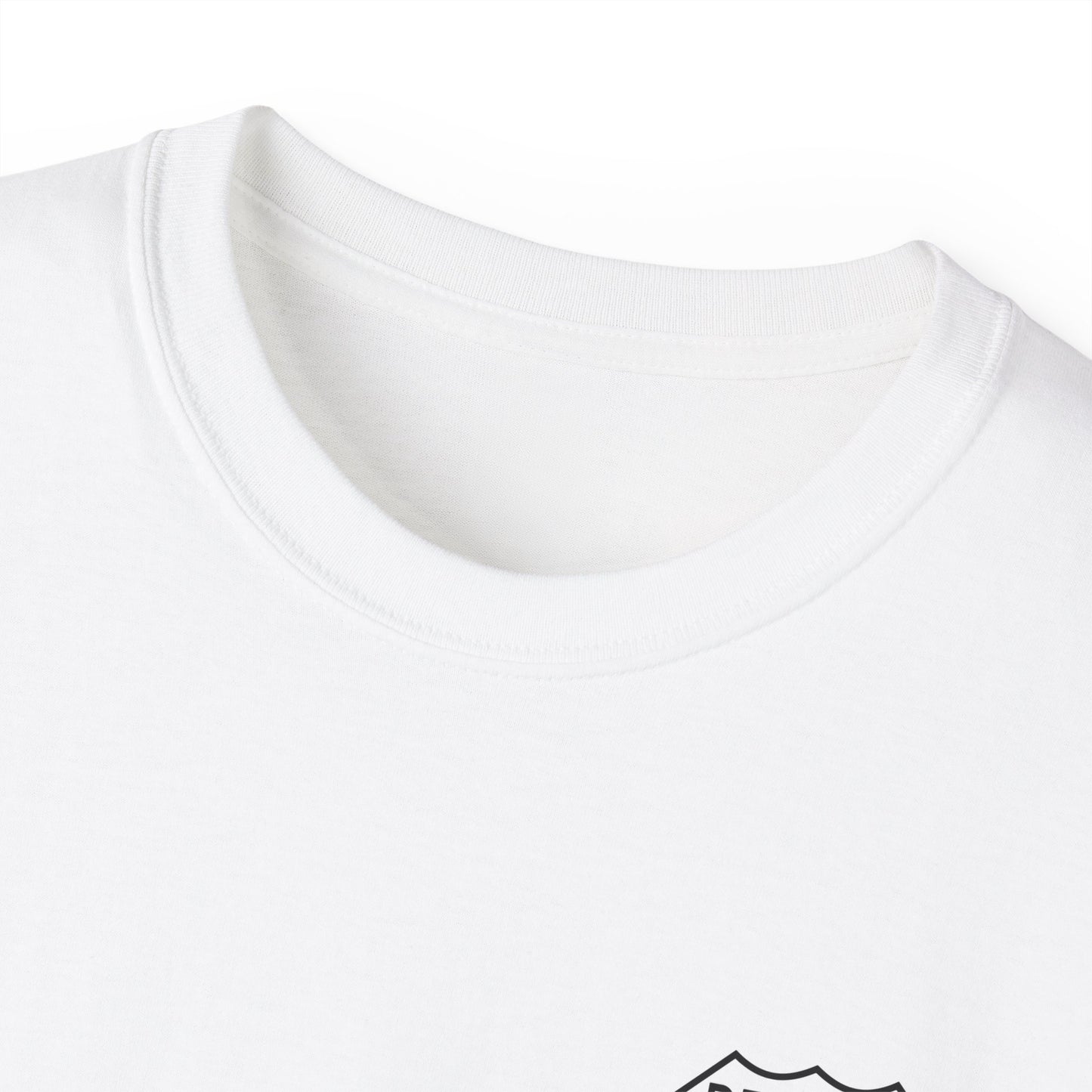 Tail Of Dragon,  4 Sided (DRIVER) T-Shirt