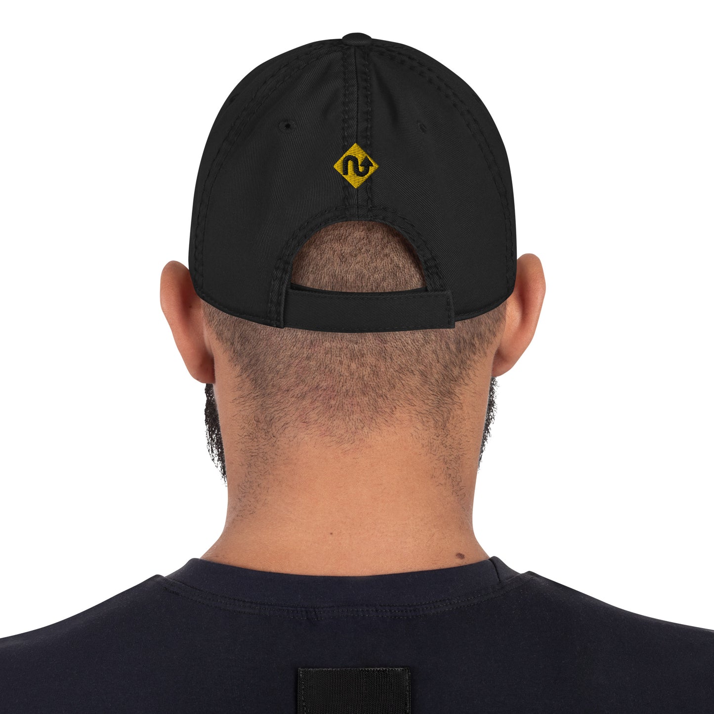 Tail Of The Dragon - Distressed Dad Hat