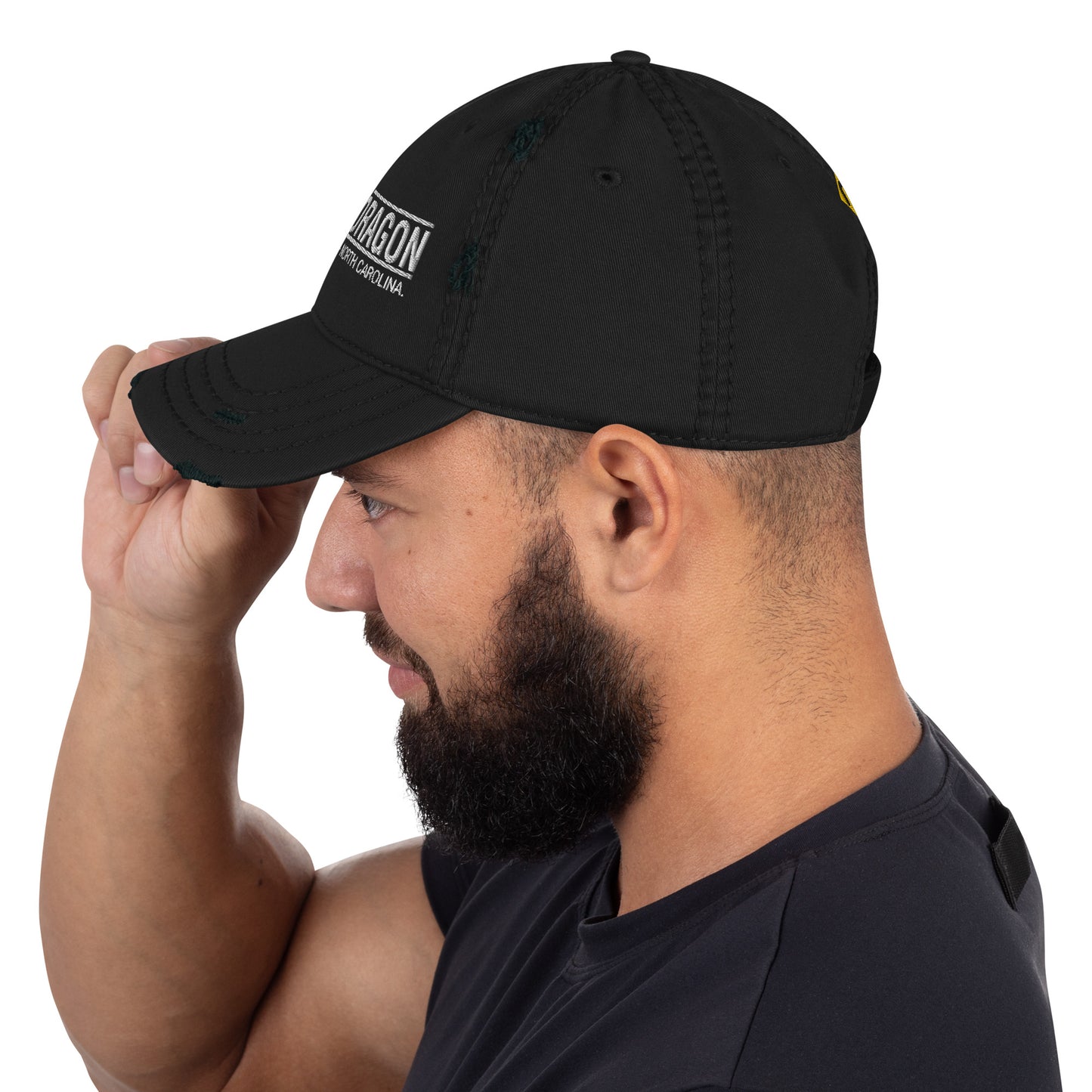 Tail Of The Dragon - Distressed Dad Hat