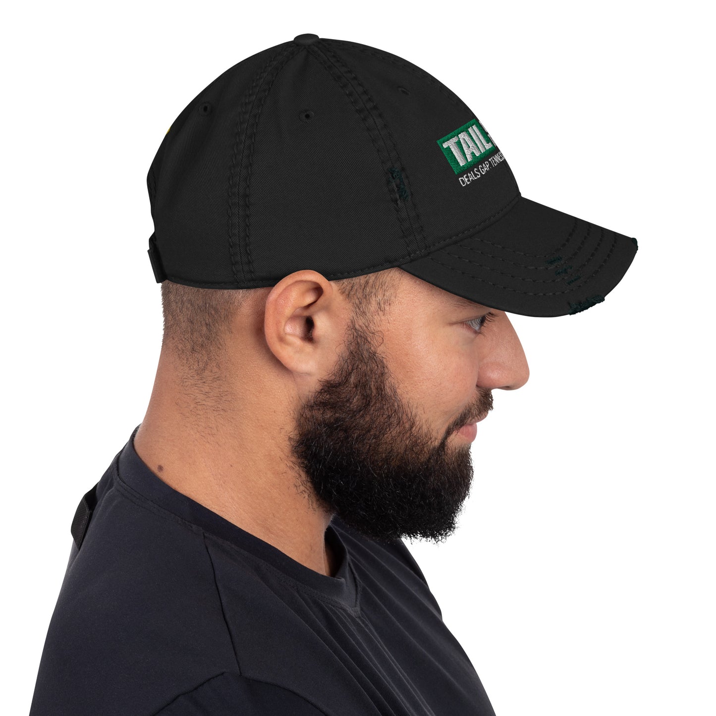 Tail Of The Dragon - Distressed Dad Hat