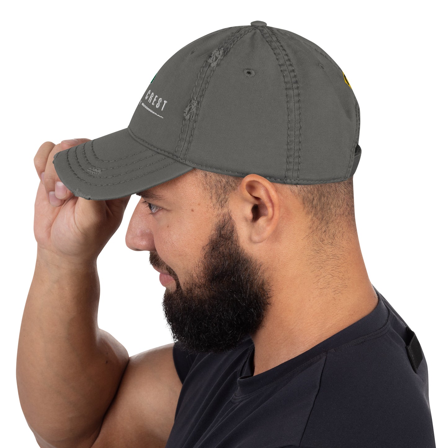 Angeles Crest Highway - Distressed Dad Hat