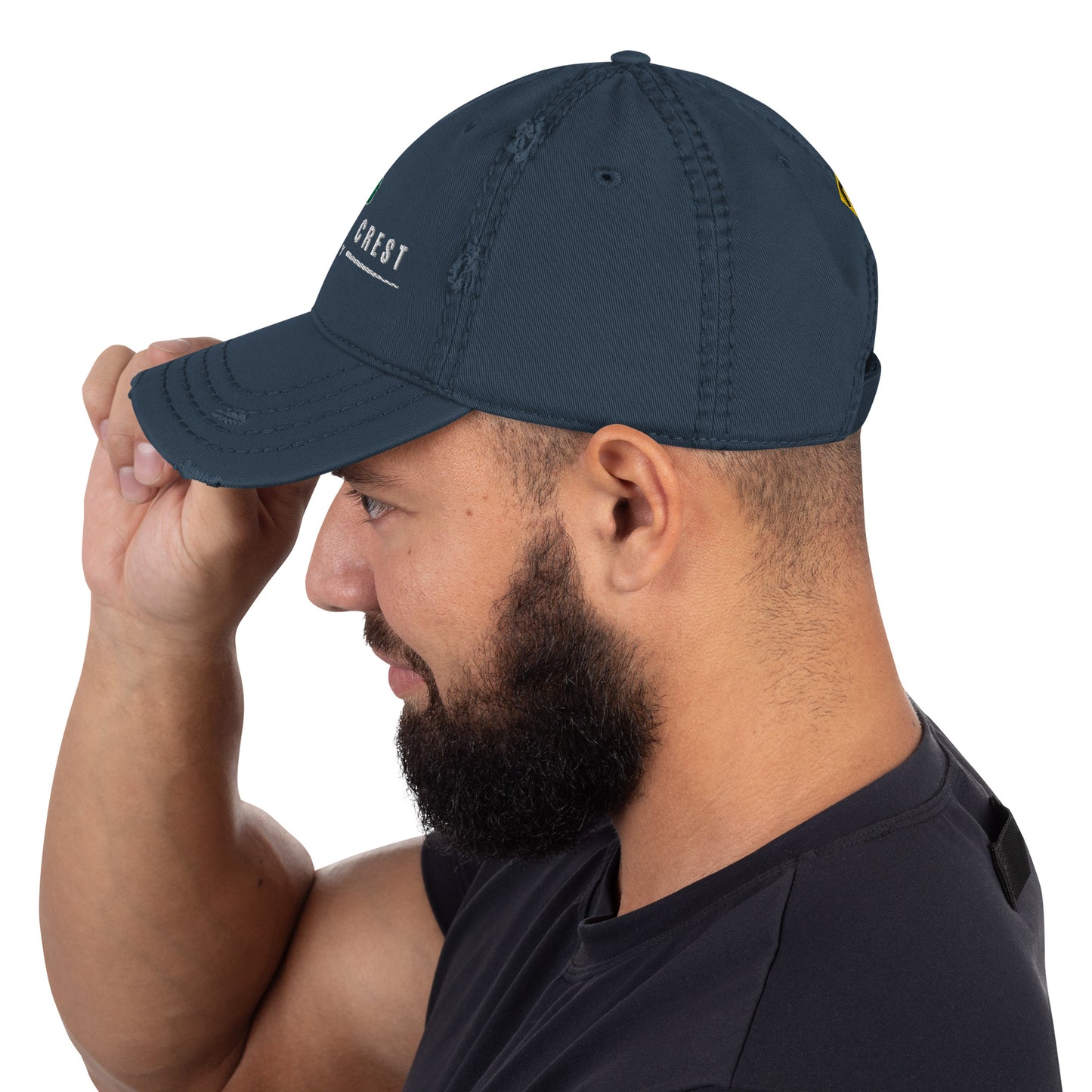 Angeles Crest Highway - Distressed Dad Hat